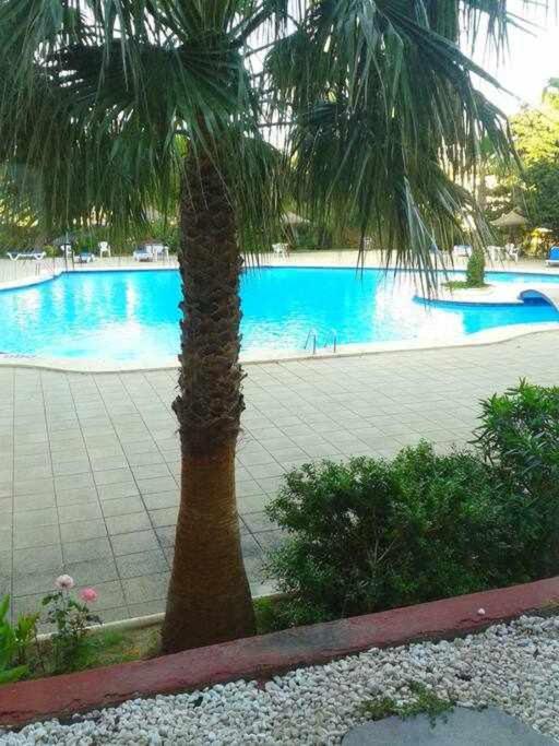 Piso Moderno Con Piscina Siesta 2 Port de Alcudia (Mallorca) Exterior foto